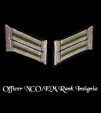 Enter Officer NCO/EM Rank Insignia